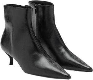 BOTIN BIRD