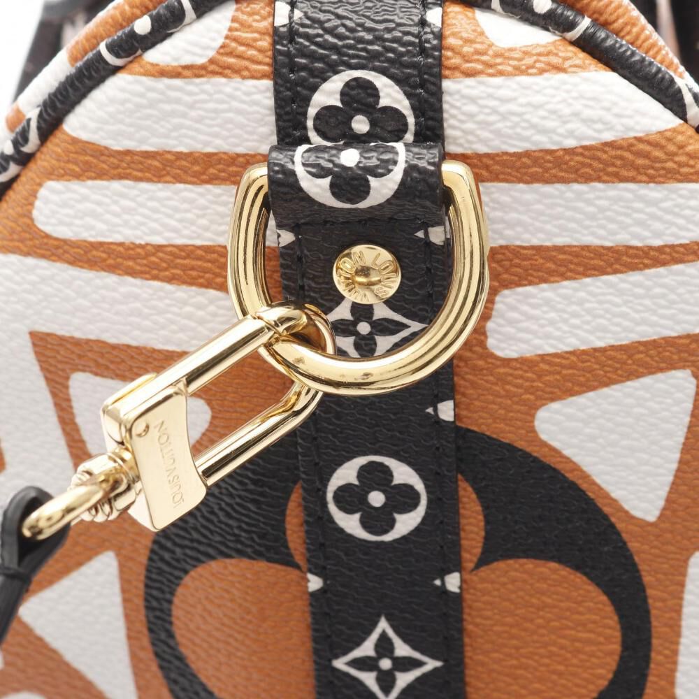 Louis Vuitton Speedy