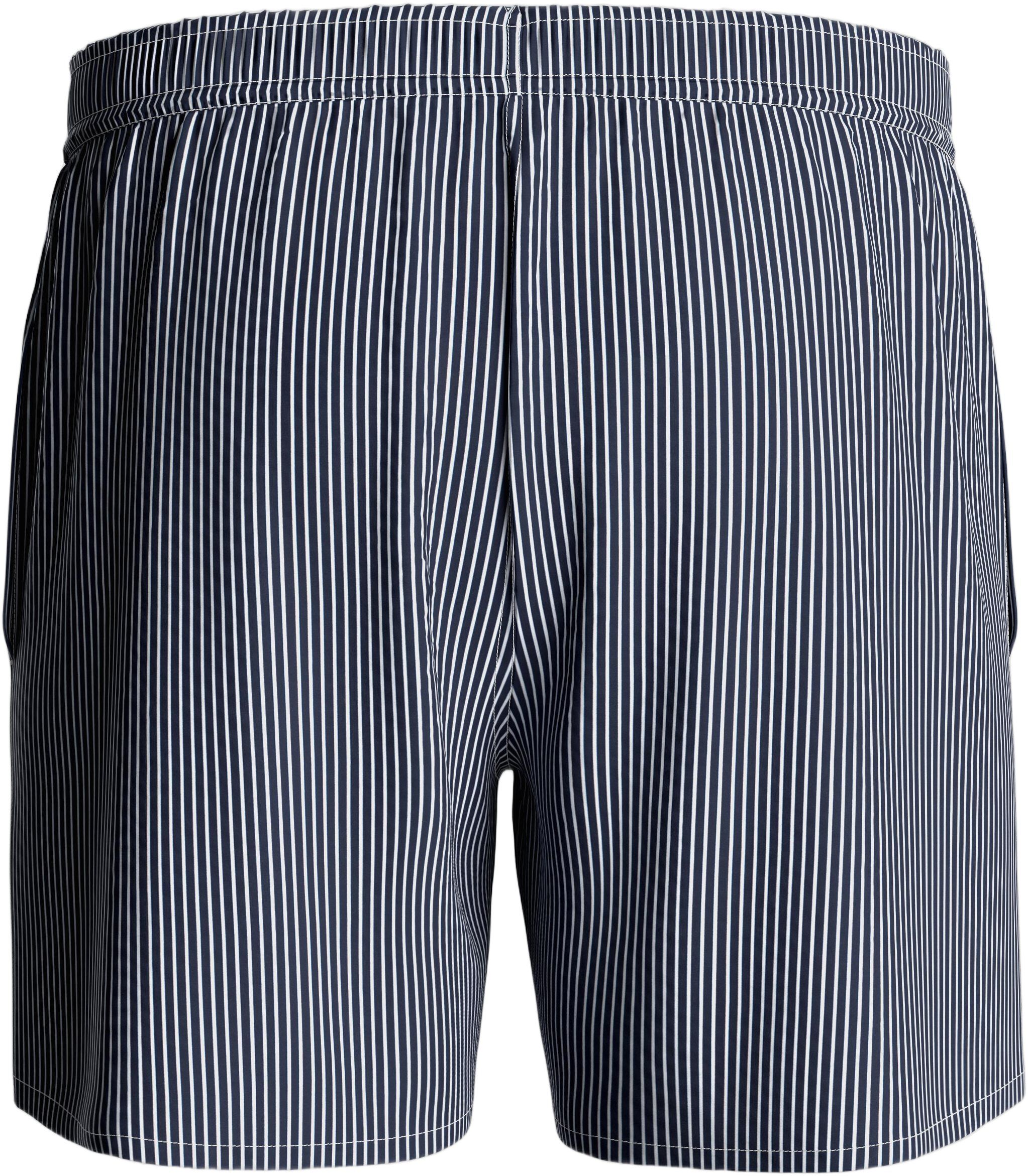Striped Swim Shorts