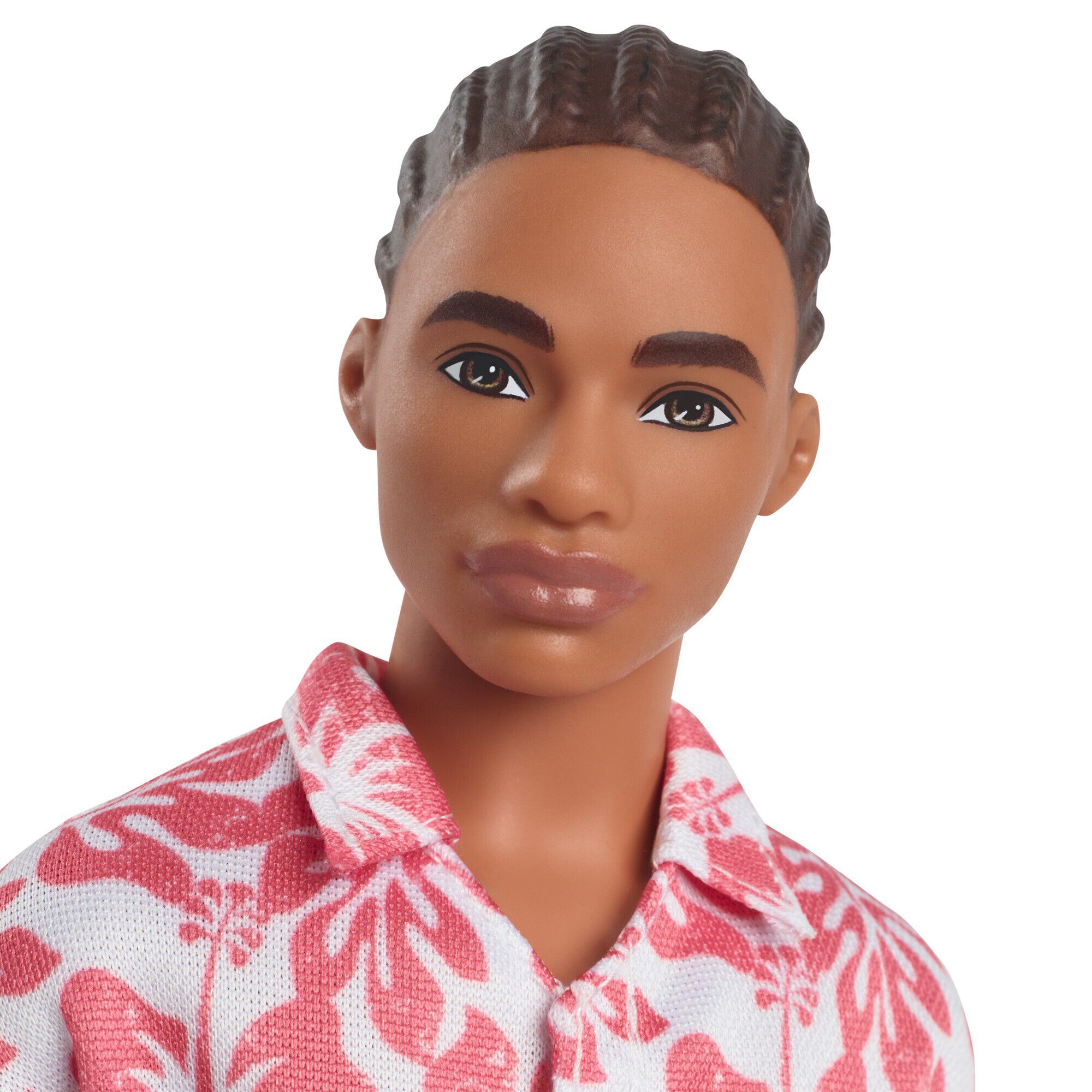 Barbie Fashionista Ken Pr