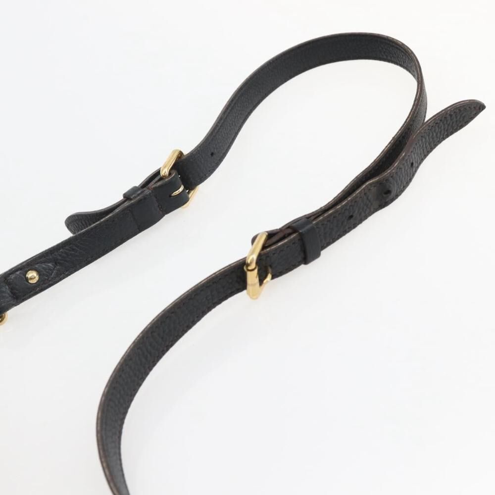 Louis Vuitton Crossbody Bag