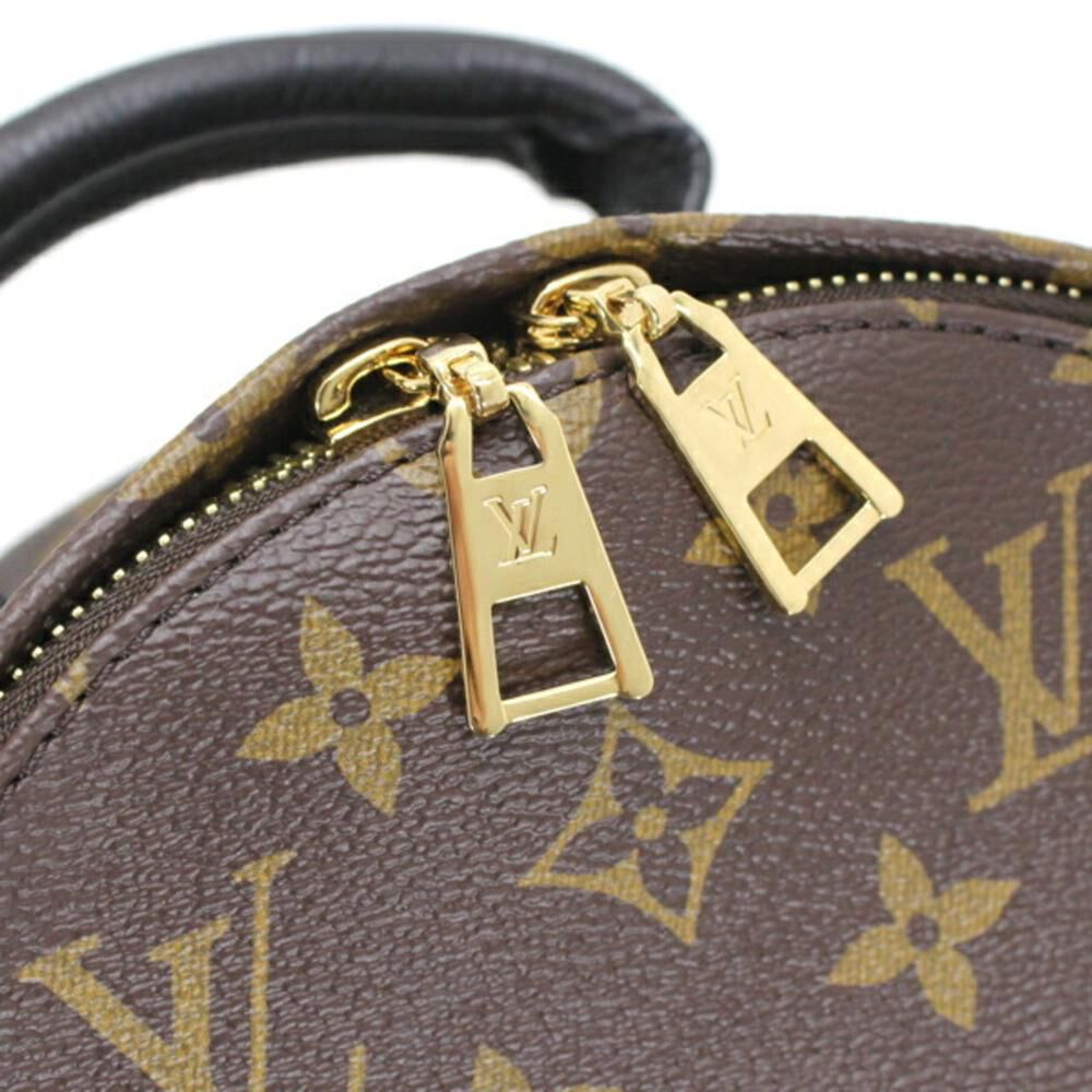 Louis Vuitton Palm Springs