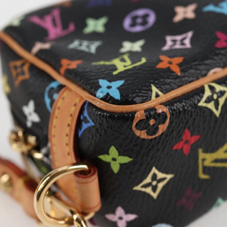 Louis Vuitton Pouch