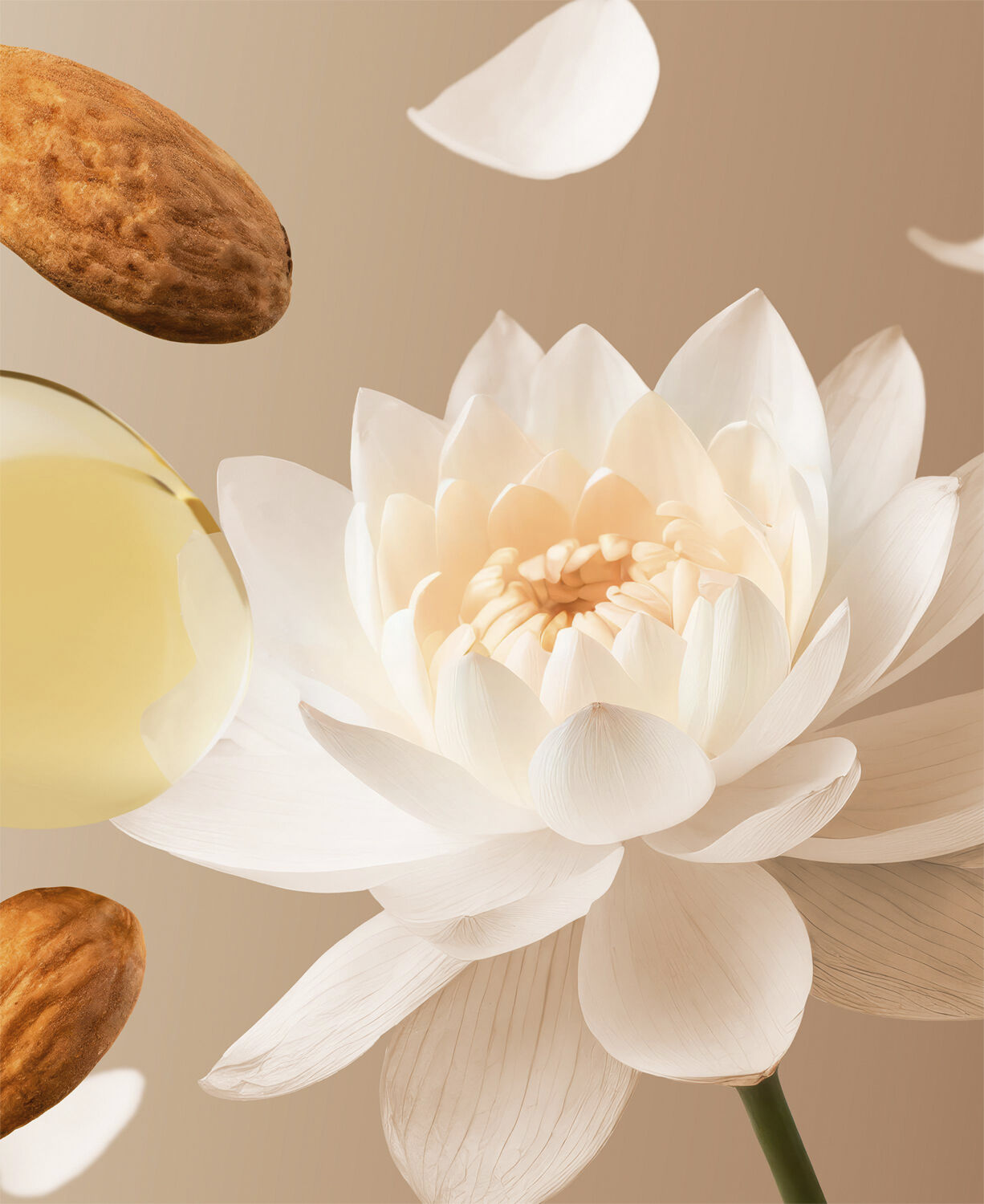 The Ritual of Karma Shower Oil