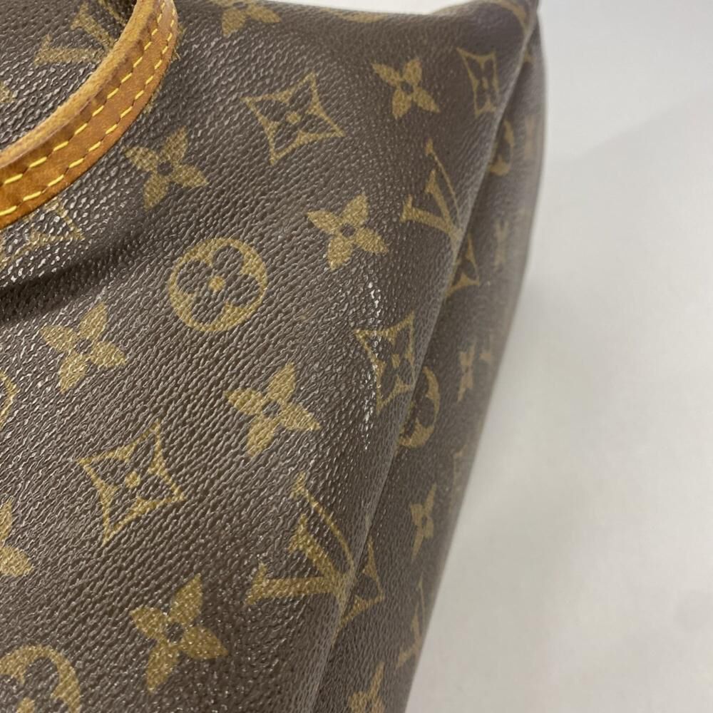 Louis Vuitton Neverfull