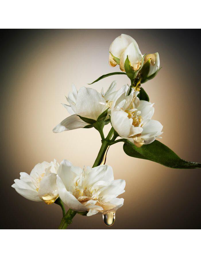 The Scent For Her Eau De Parfum