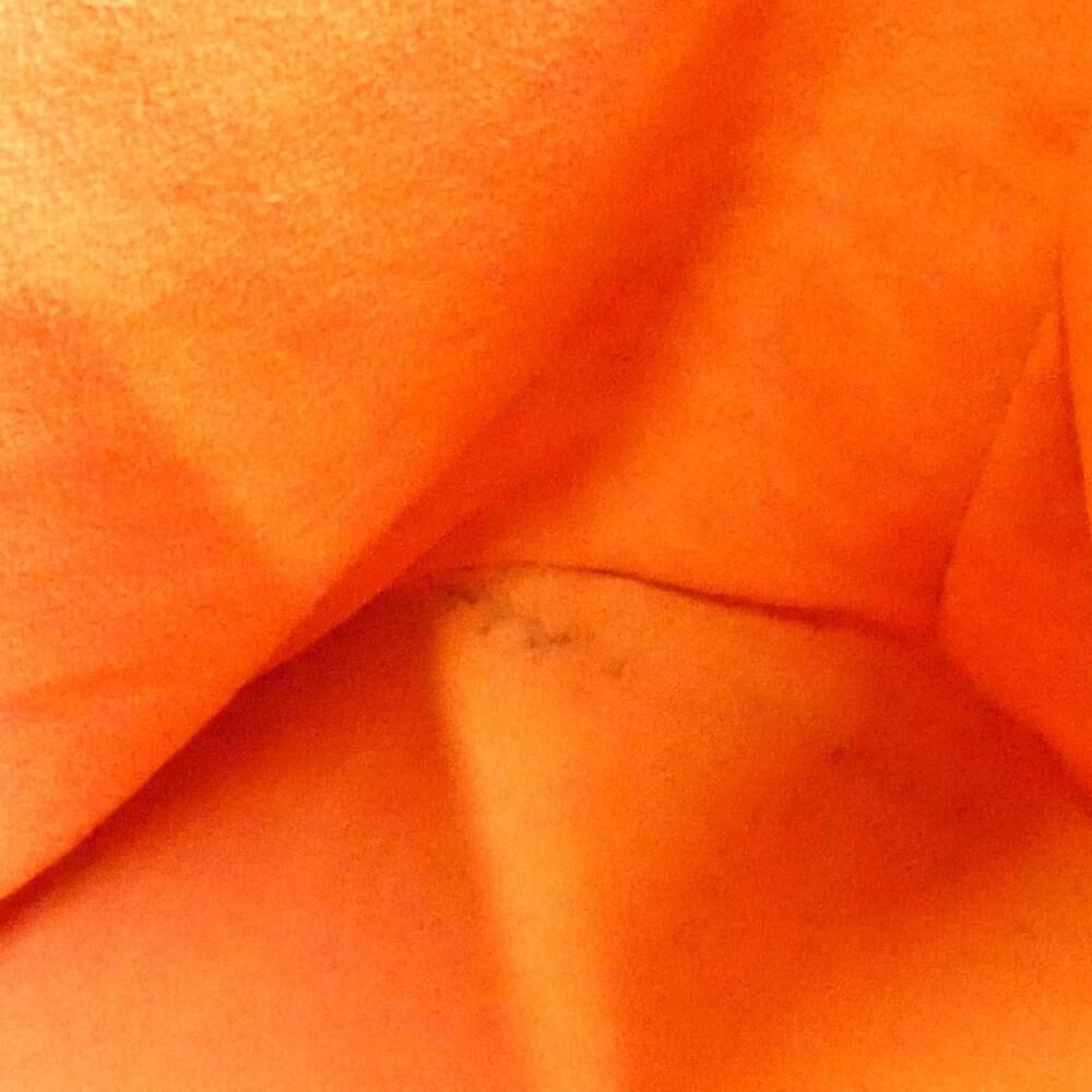 Louis Vuitton Bucket Bag