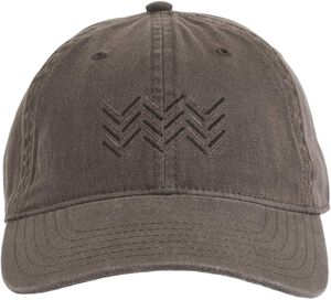 CASTOR Dad Cap