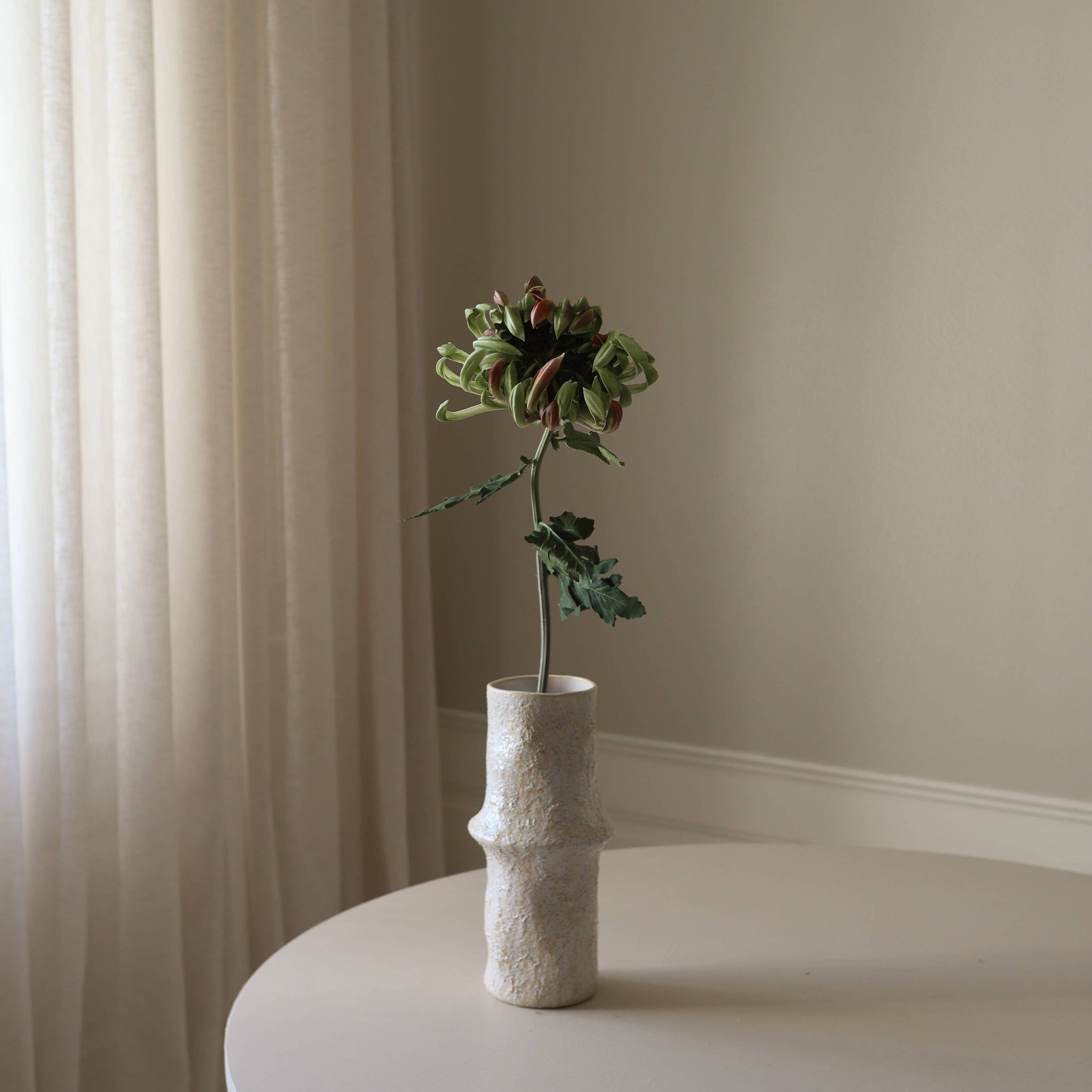 Chrysanthemum Flower