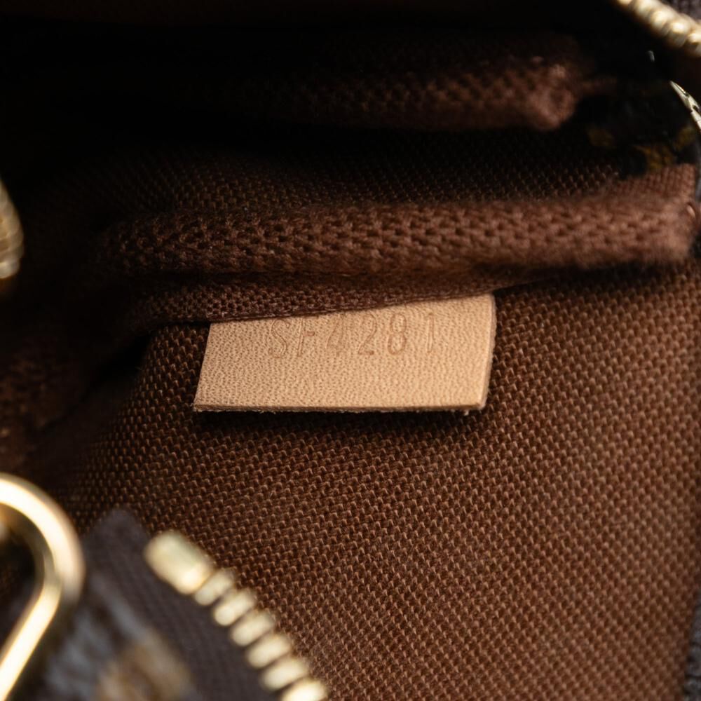 Louis Vuitton Pochette Accessoires