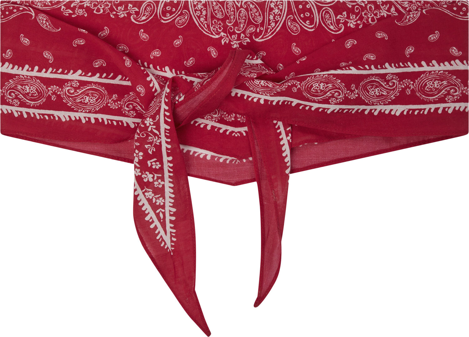 Kinessa Paisley Scarf