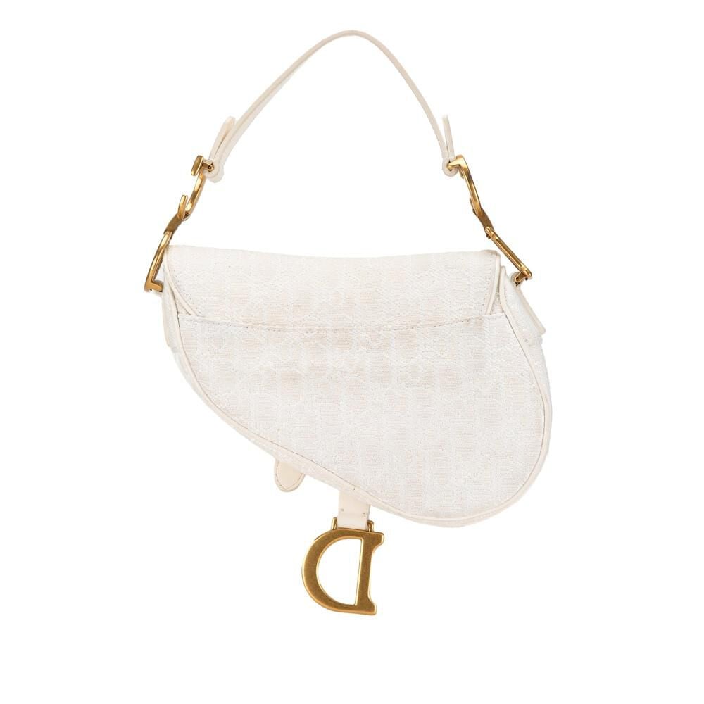 Dior Saddle Bag