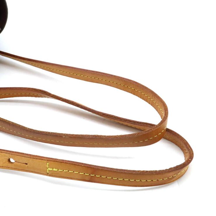 Louis Vuitton Montsouris