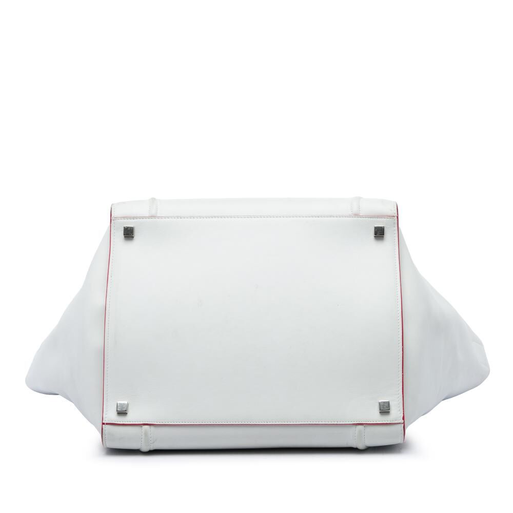 Celine Luggage