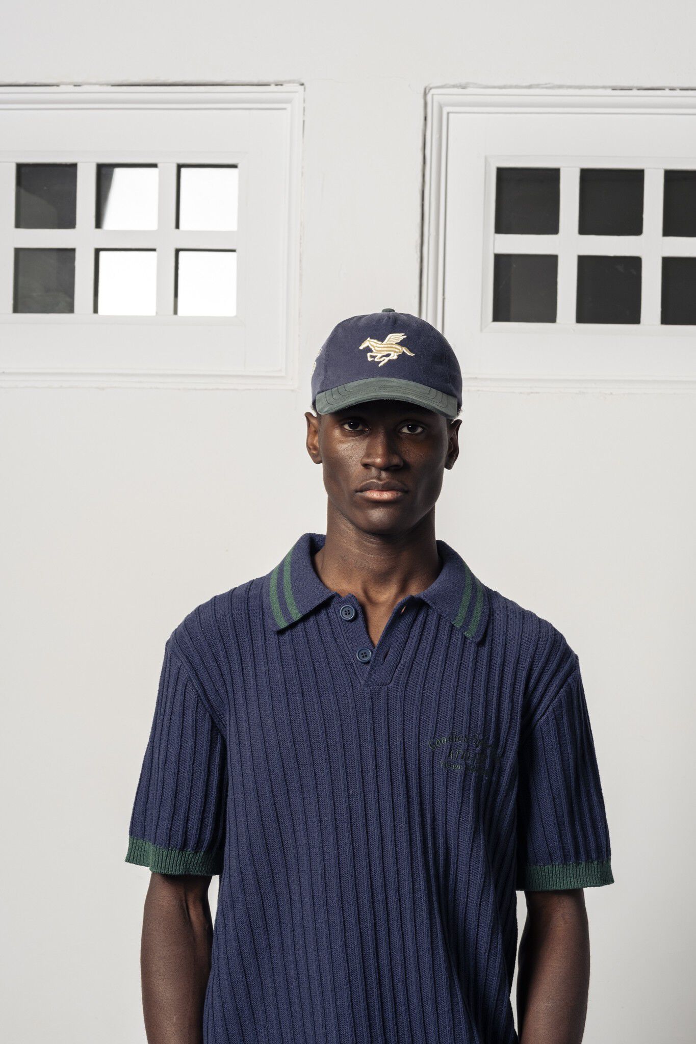 3D PEAGASUS WASHED CAP