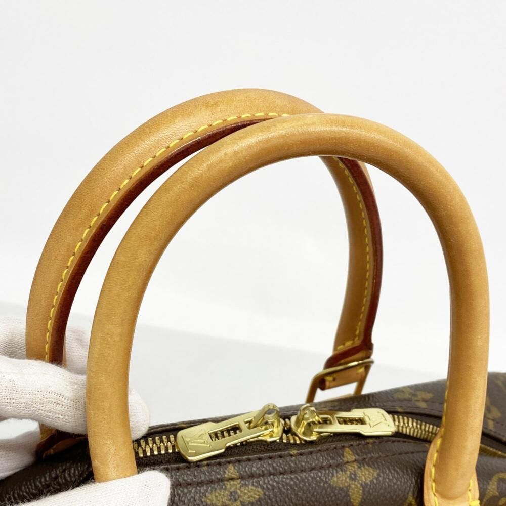 Louis Vuitton Deauville