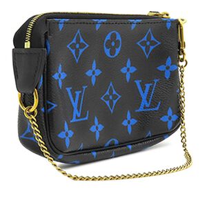 Louis Vuitton Pochette Accessoires