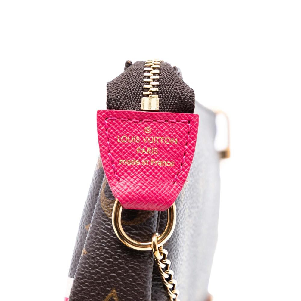 Louis Vuitton Pochette Accessoires