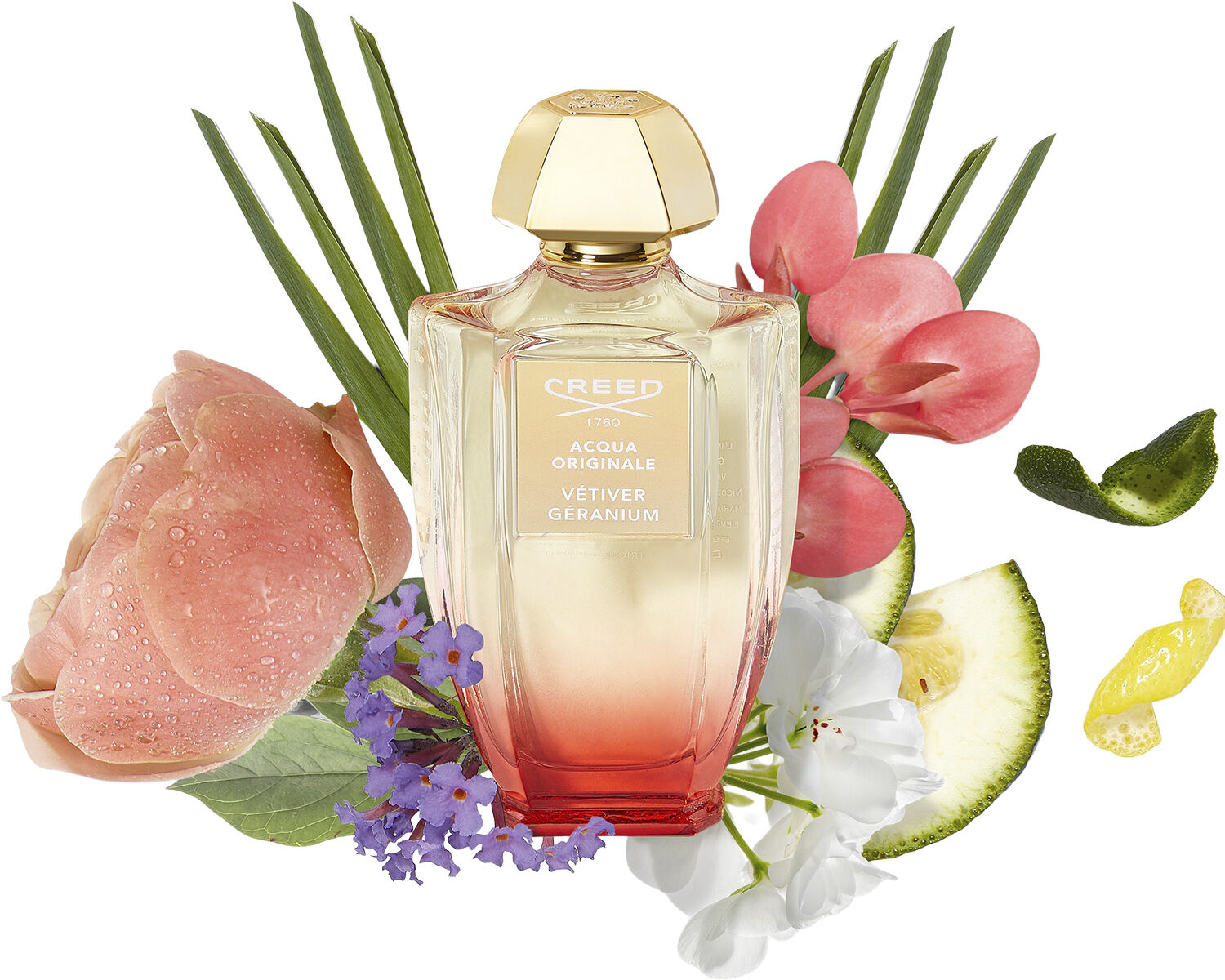 Acqua Originale Vetiver Geranium