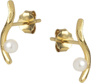 Studs, Ivory