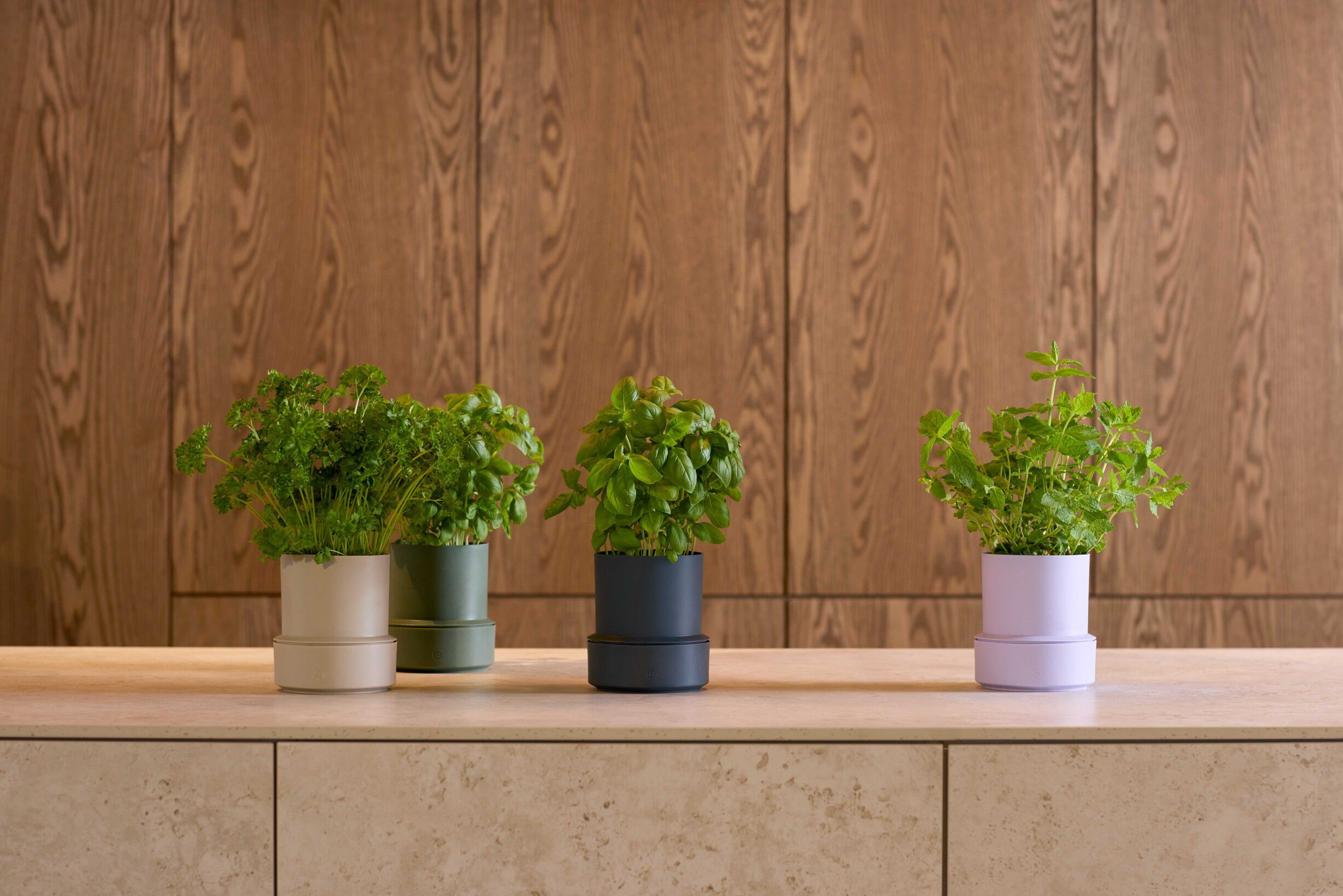 Billund self-watering pot, parsley
