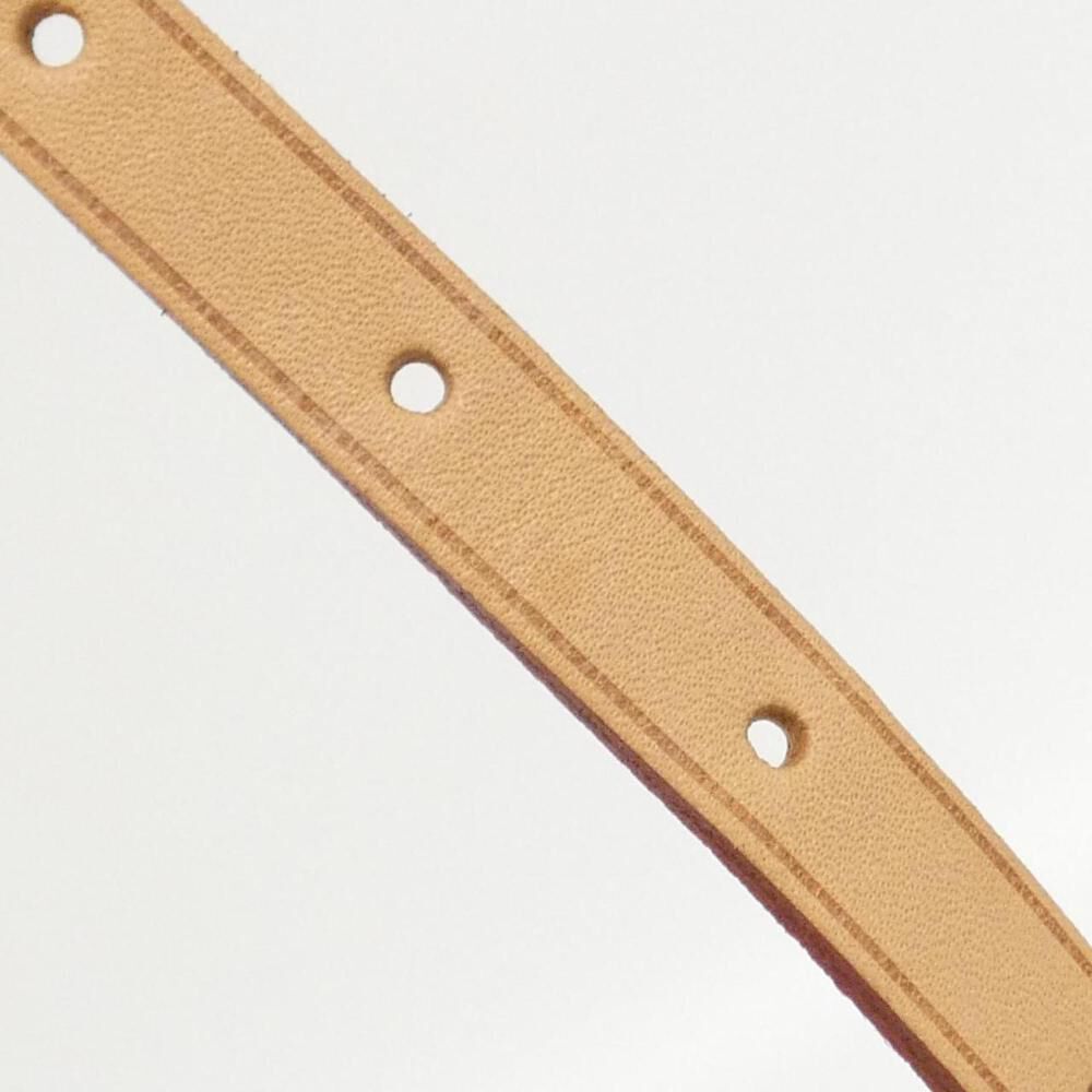 Louis Vuitton Backpack