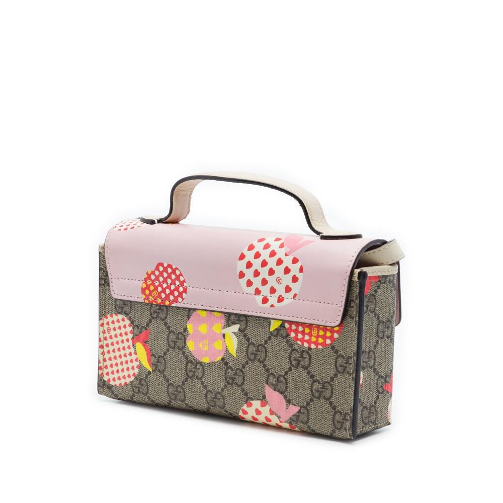 Gucci Handbag