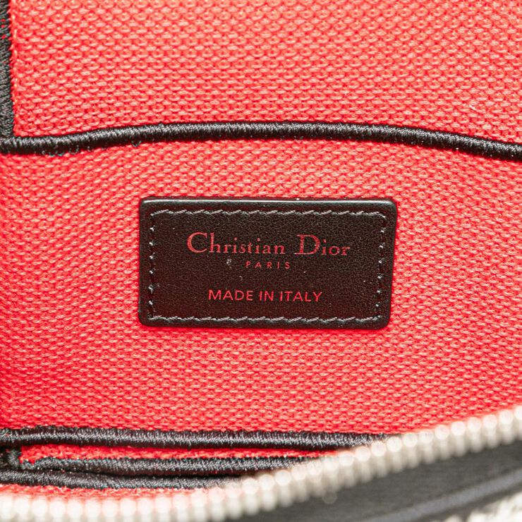Dior Vanity Bag