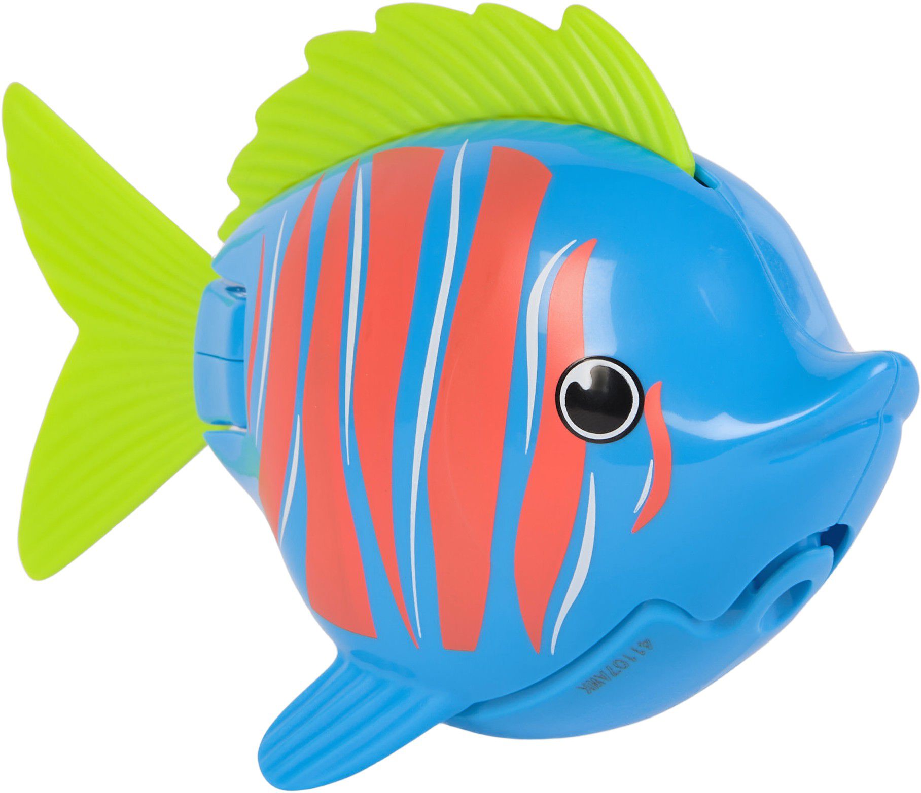 Rainbow Reef Fish - Beta