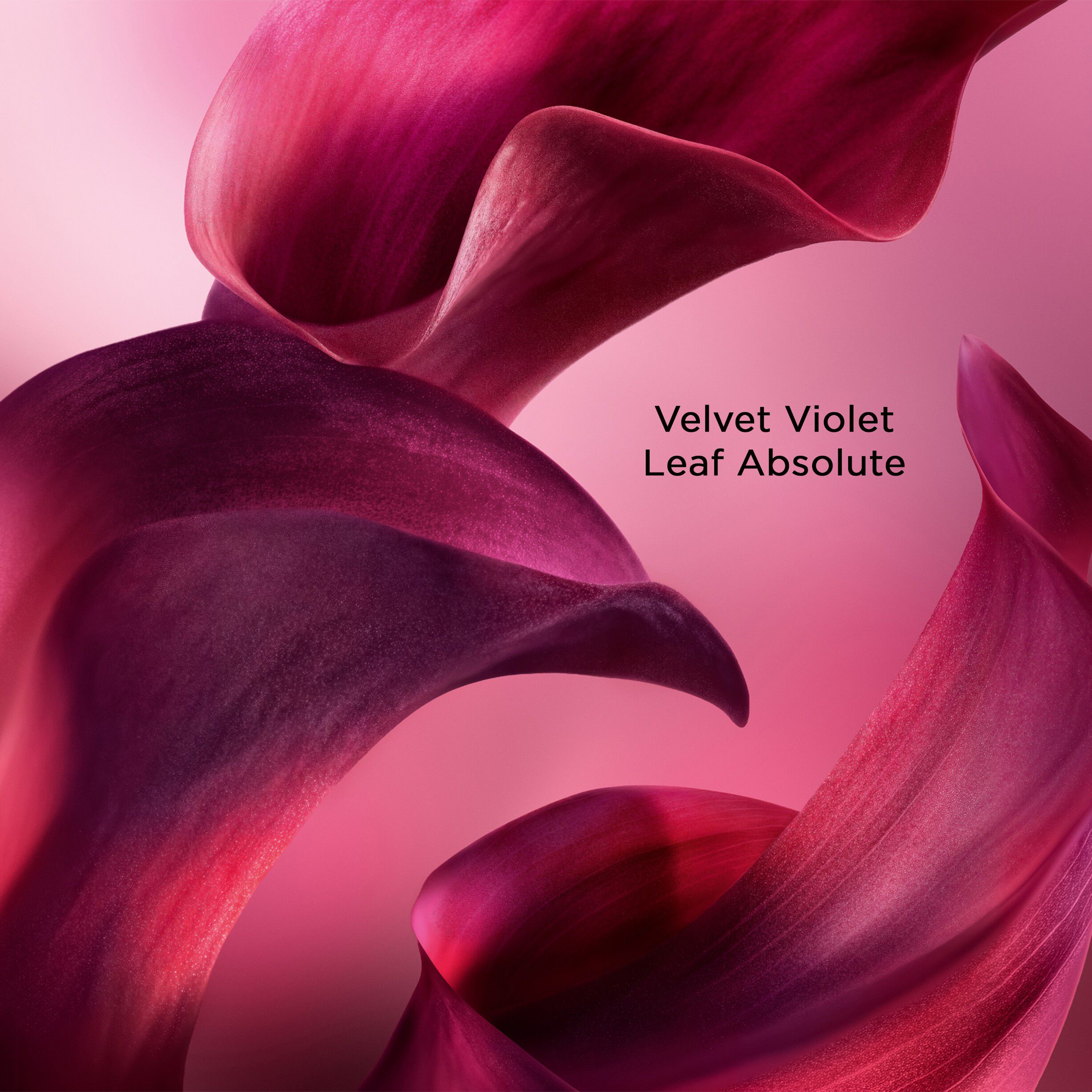 LC LVEB Elixir Cherry EDP V100ML