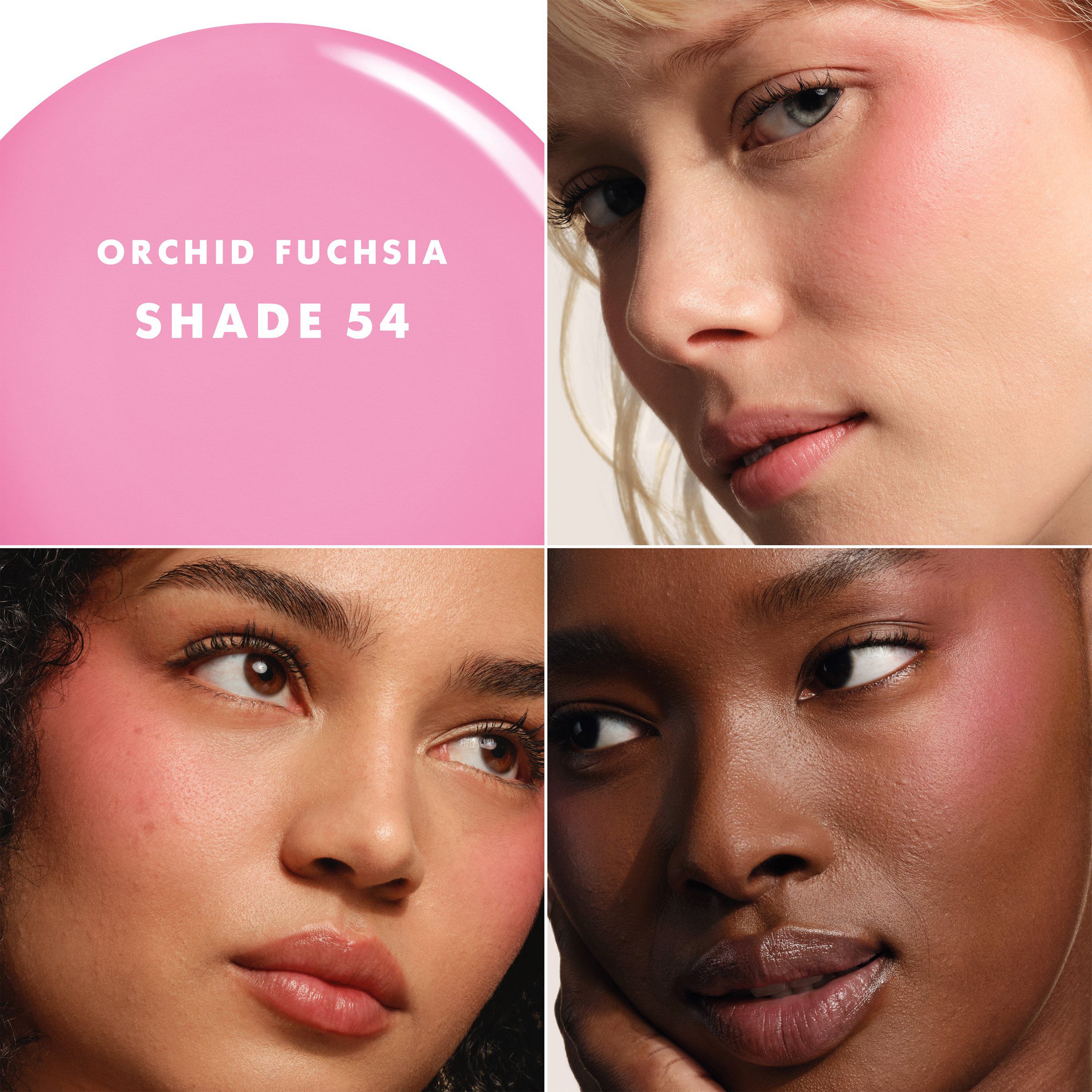 Luminous Silk Cheek Tint Shine 54