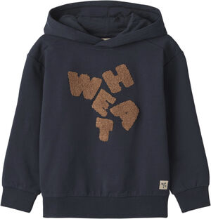 Sweatshirt Rumvaskebjørn