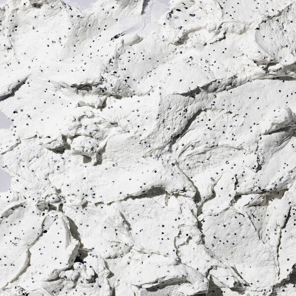 Cookies N Clean - Whipped Clay Detox Face Mask