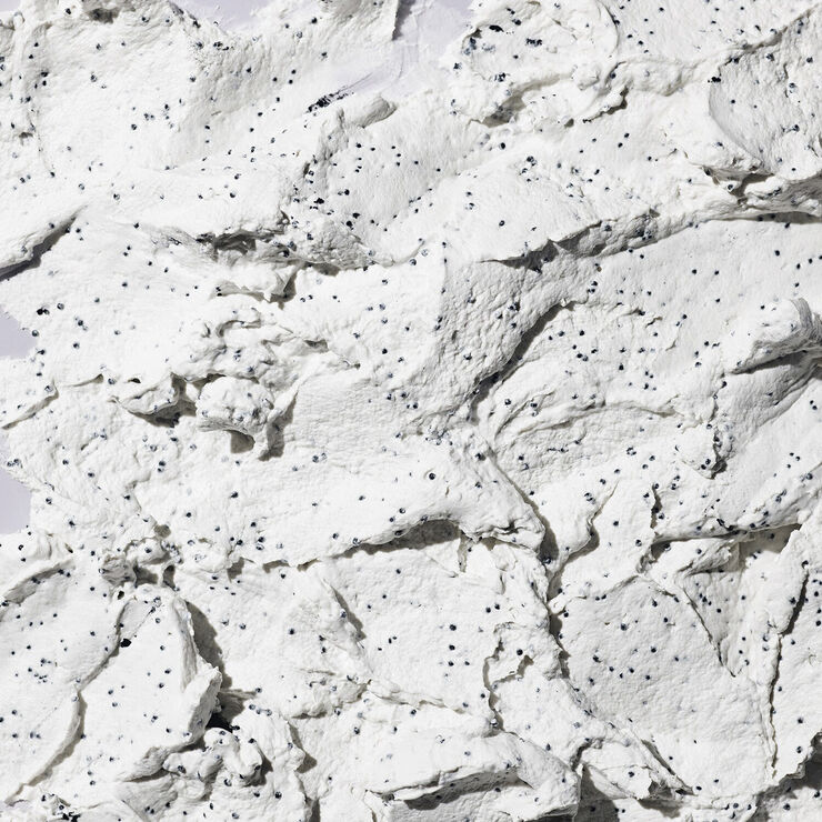 Cookies N Clean - Whipped Clay Detox Face Mask