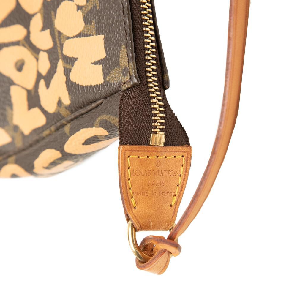 Louis Vuitton Pochette Accessoires