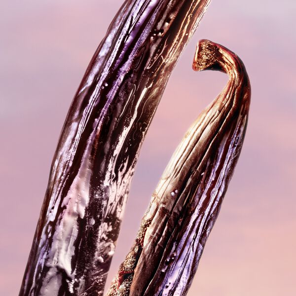 La vie est belle Vanille Nude Eau de Parfum