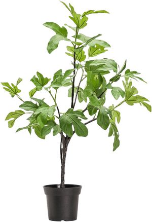 Artificial plant, HDFig, Green