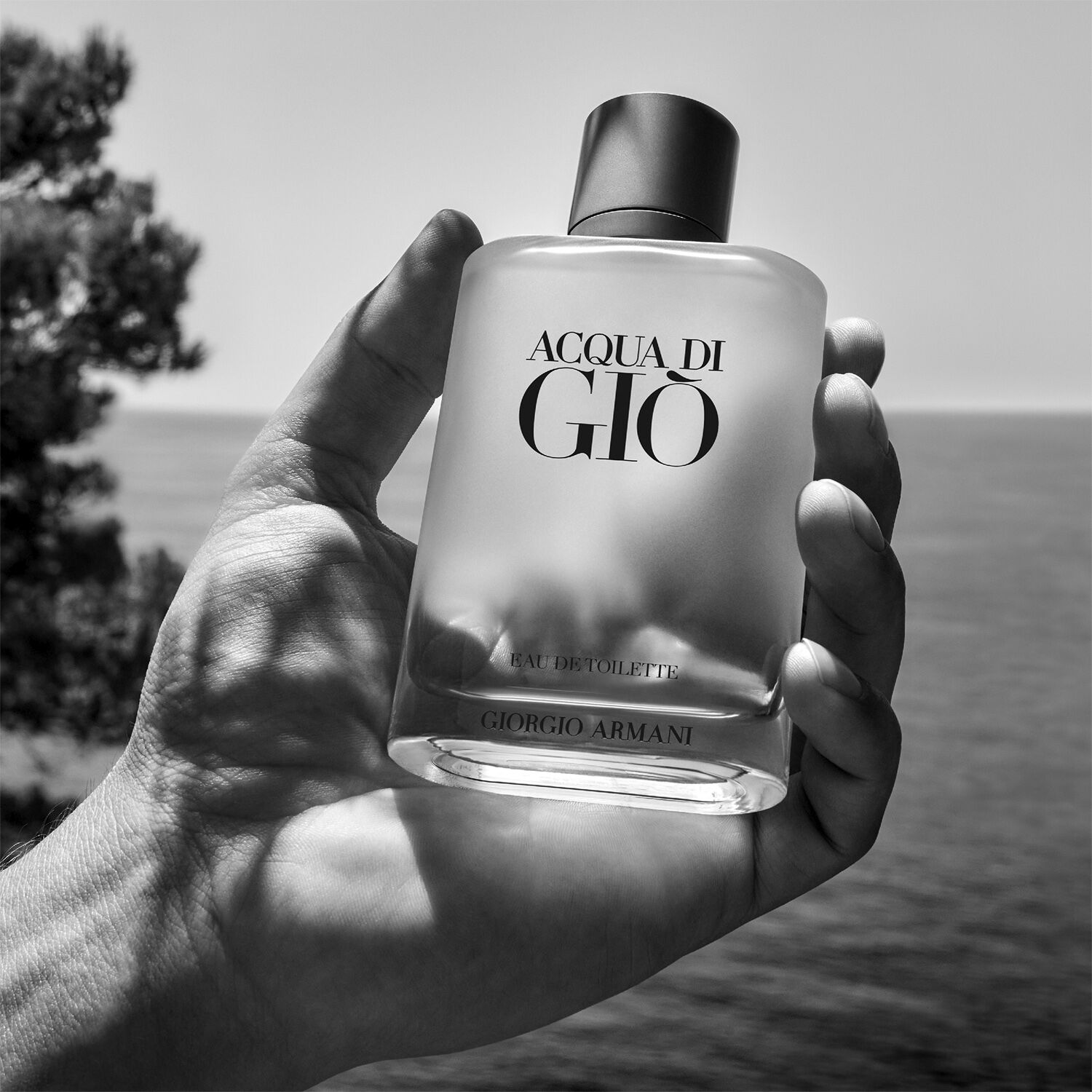 Giorgio Armani Acqua di Gi&ograve; Eau de Toilette