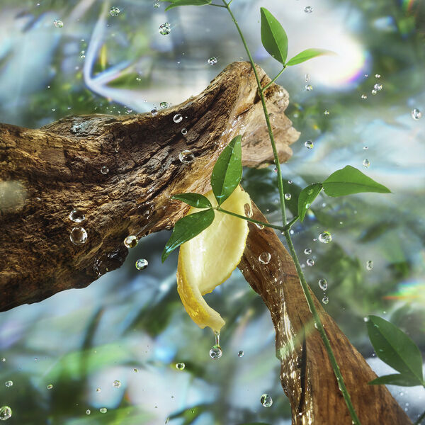 Magic Energy - Eau de Parfum