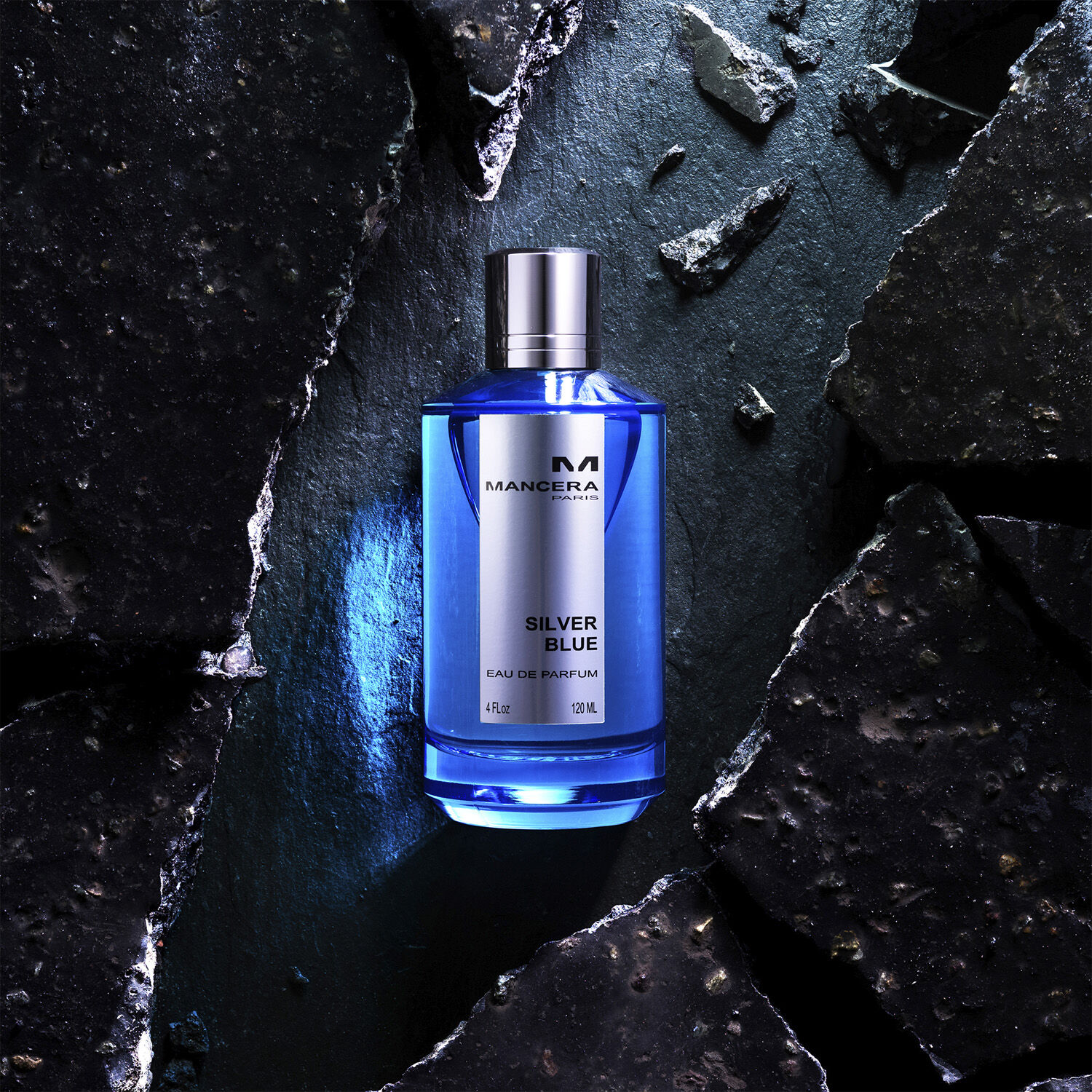 Silver blue Eau de Parfums 120 ml