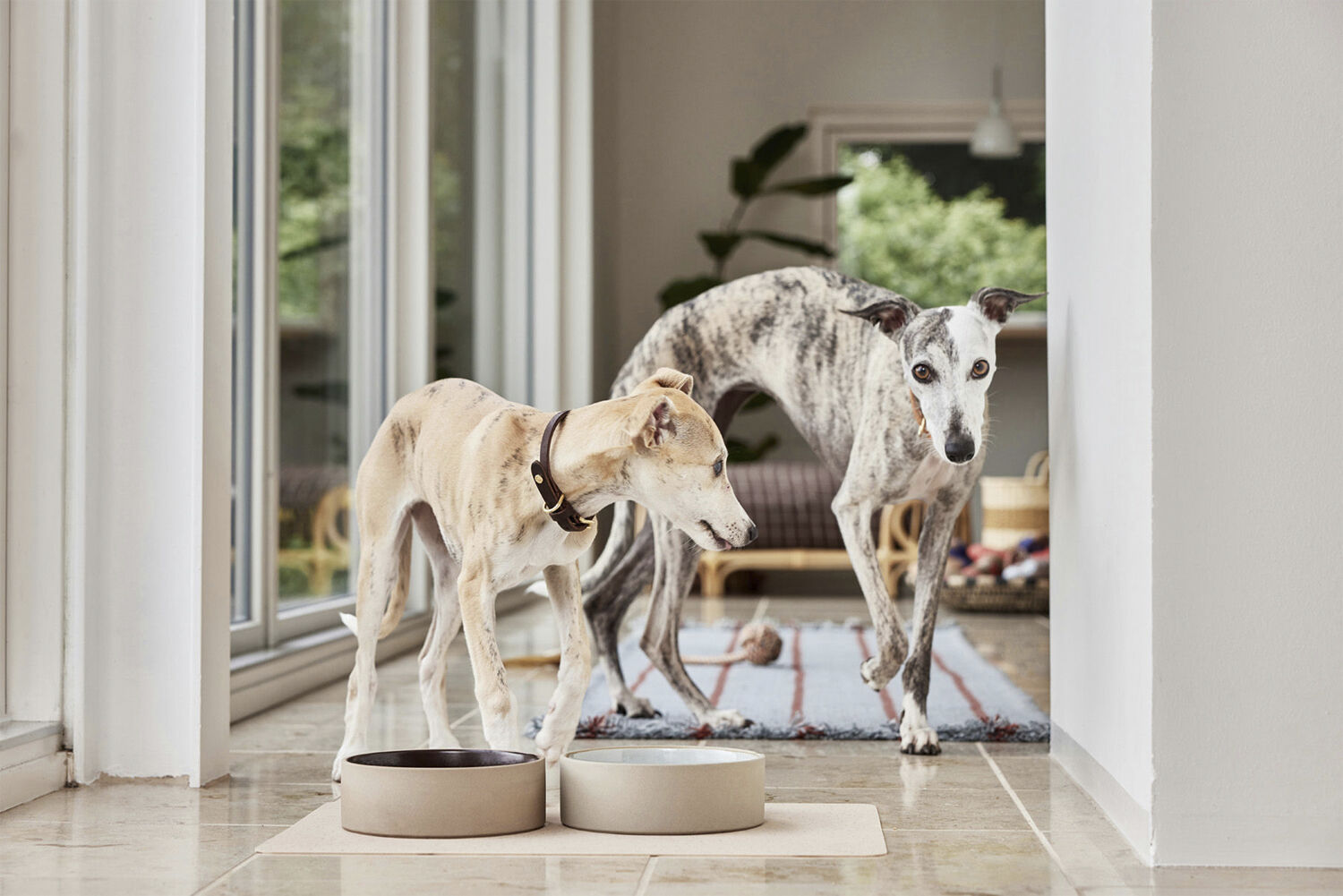 Koko Hundesk&aring;l M&aring;tte