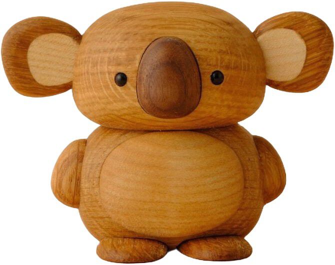 Koala, Kozi