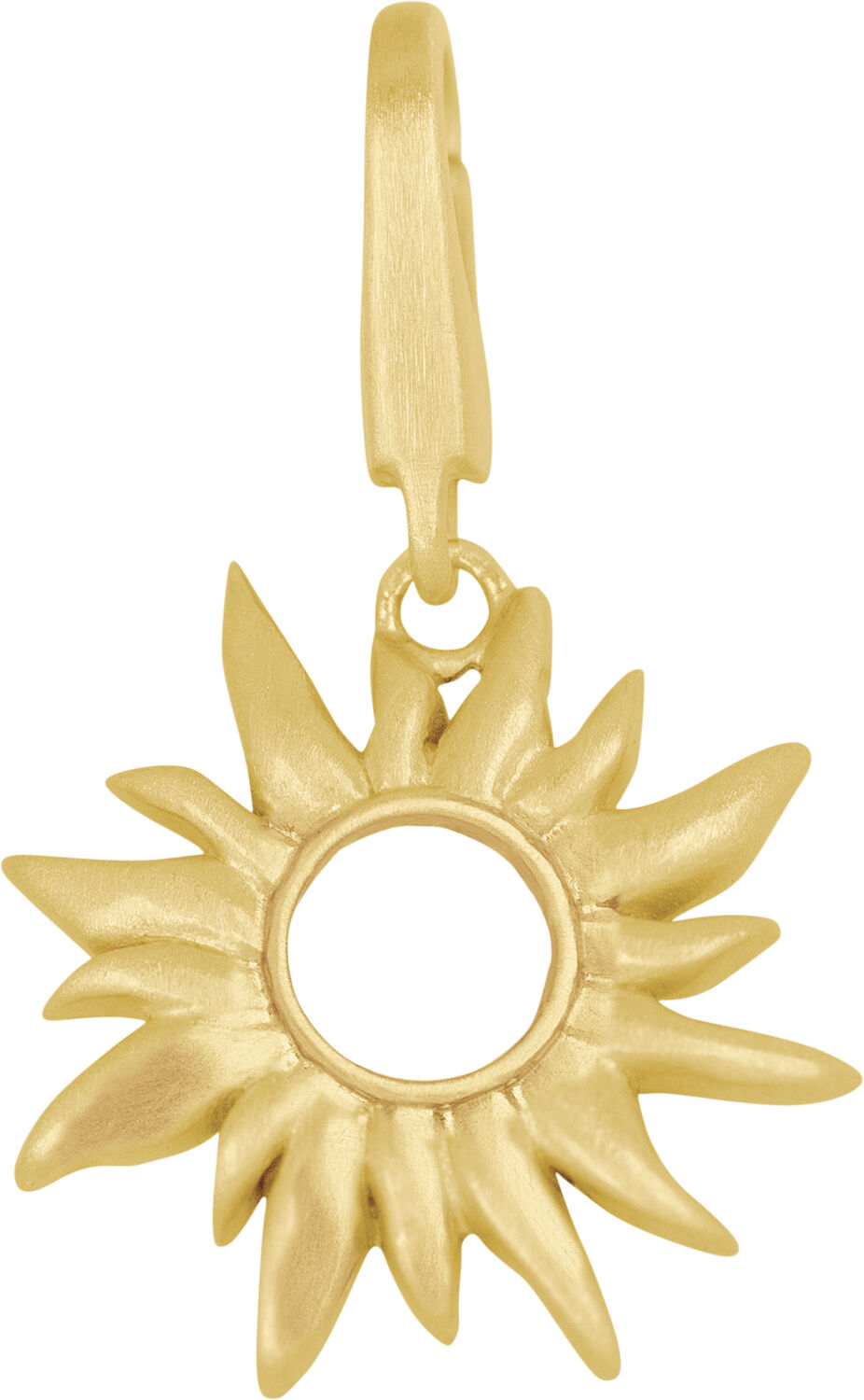 Sun Wild Pendant Small