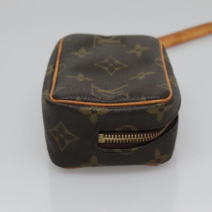 Louis Vuitton Pouch
