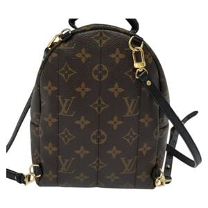 Louis Vuitton Palm Springs