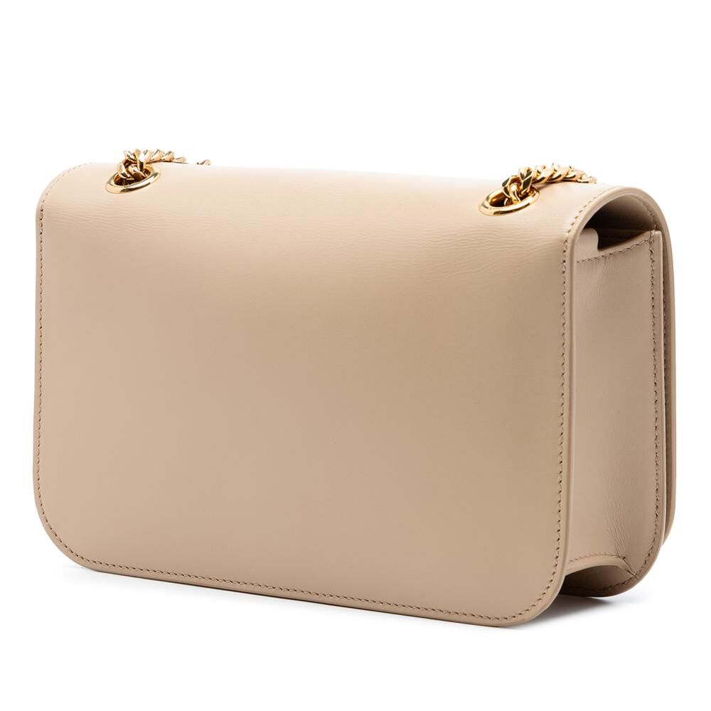 Celine Crossbody Bag