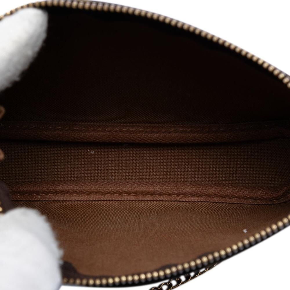 Louis Vuitton Pochette Accessoires