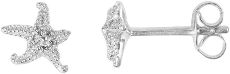 Starfish Stud-R