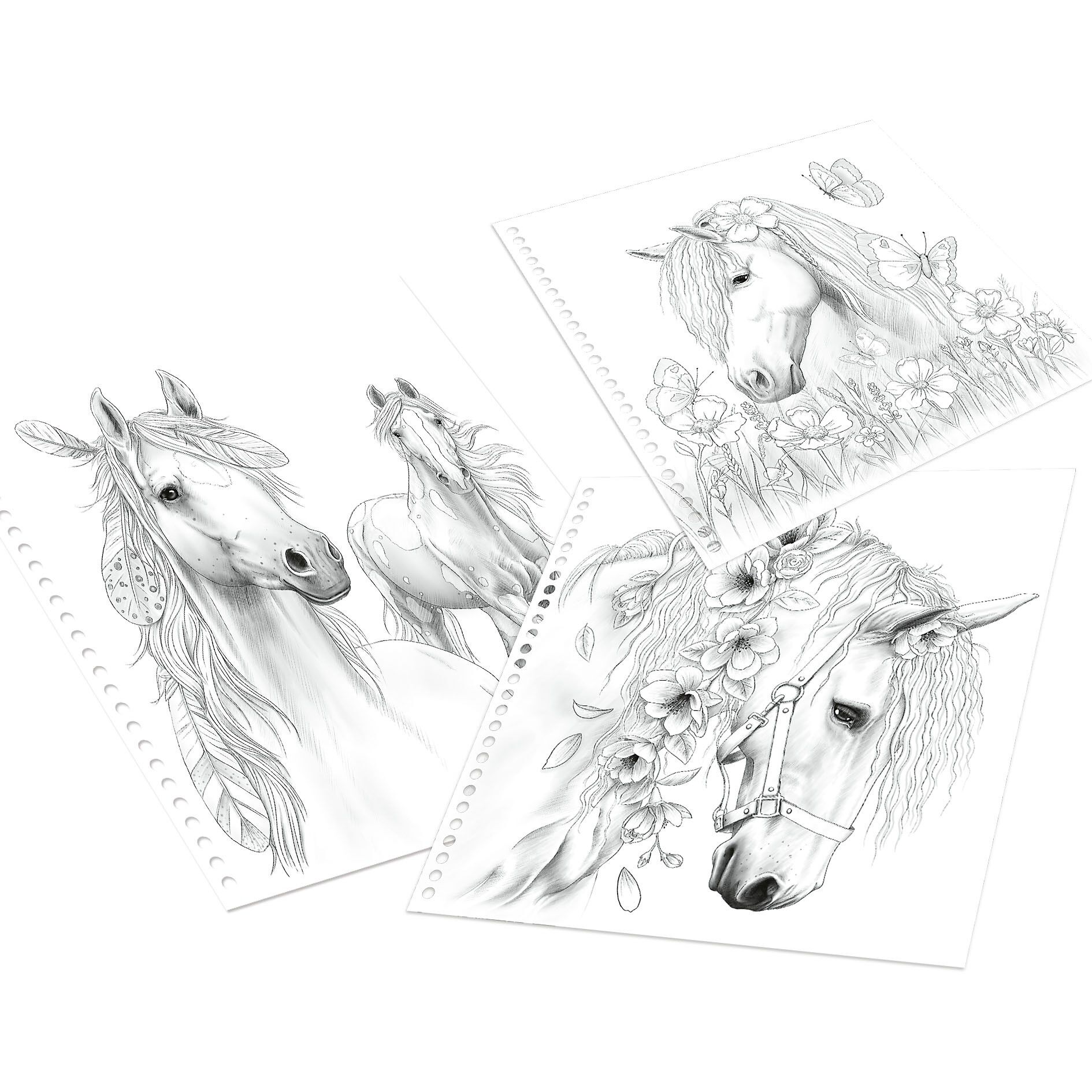 Miss Melody Special Maleb