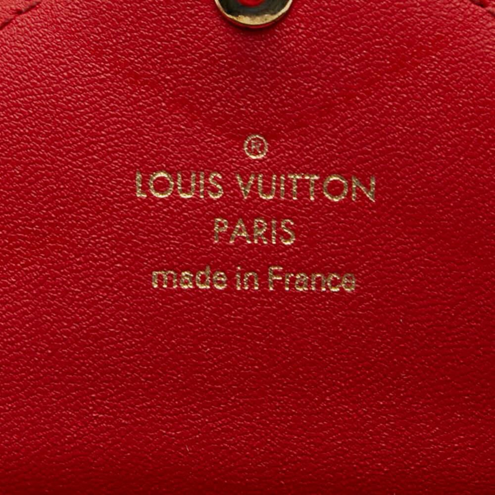 Louis Vuitton Pouch